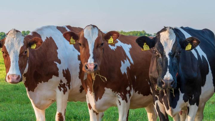 La qualité est au cœur de mes préoccupations.